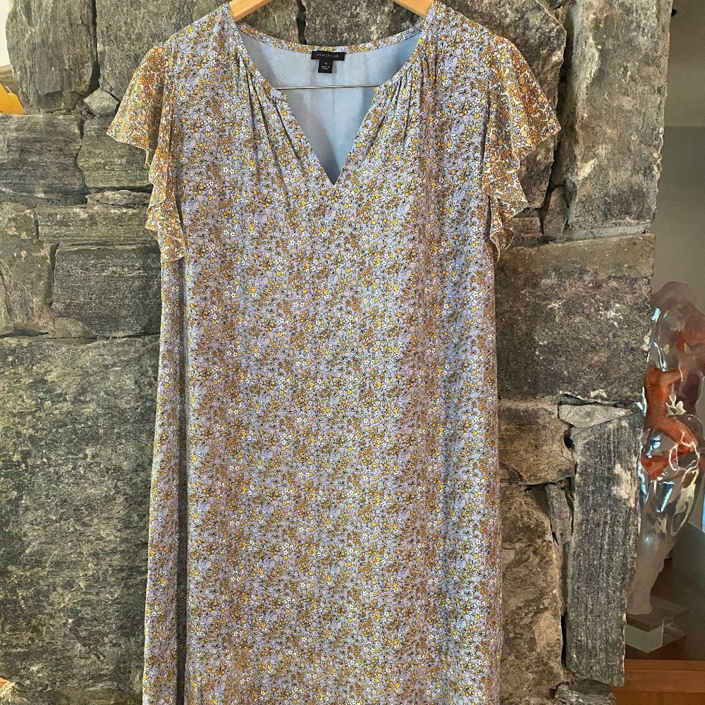 Ann Taylor Flutter Sleeve Floral Dress Sz 4 - NWOT